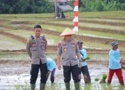 Kapolda Lampung Hadiri Gerak Tanam Raya Padi Serentak, Dukung Ketahanan Pangan Nasional