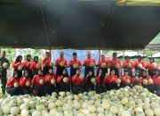 Danbrigif 4 Marinir/BS dan Ketua Cabang 7 PG Kormar Panen Melon di Yonif 7 Marinir